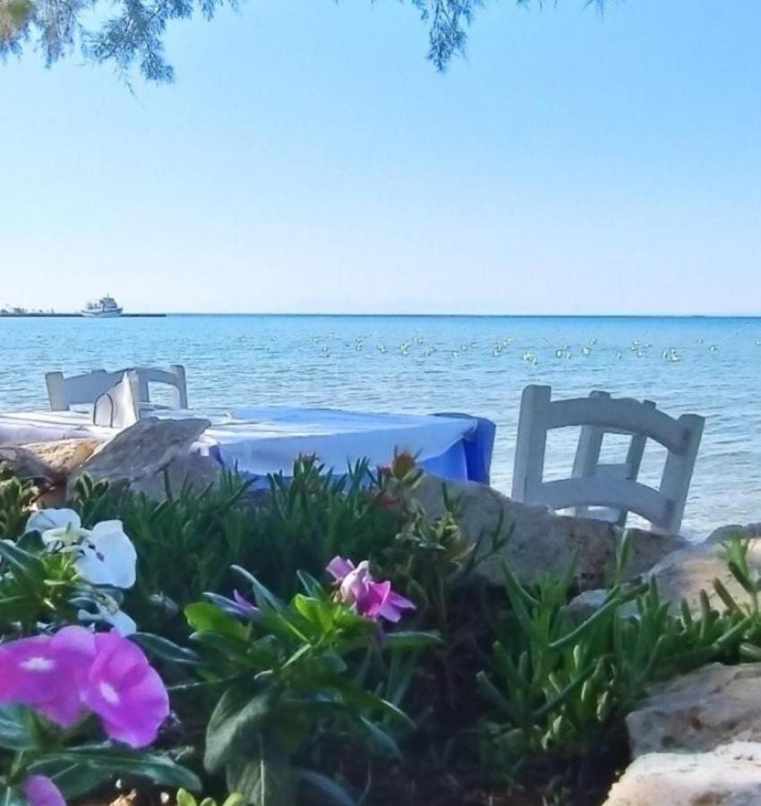 Luxury House For All Seasons Θεσσαλονίκη Εξωτερικό φωτογραφία